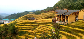 崇义上堡梯田风光