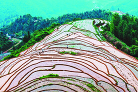 崇义上堡梯田风光