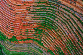 崇义上堡梯田风光