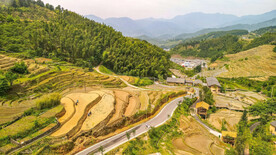 崇义上堡梯田风光