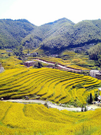 崇义上堡梯田风光