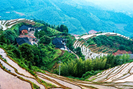 崇义上堡梯田风光