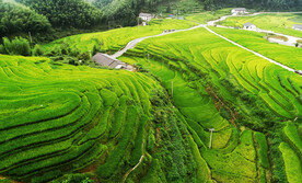 崇义上堡梯田风光