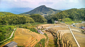 崇义上堡梯田风光