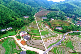 崇义上堡梯田风光