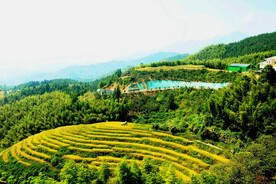 崇义上堡梯田风光