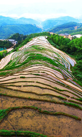 崇义上堡梯田风光