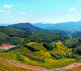 崇义上堡梯田风光