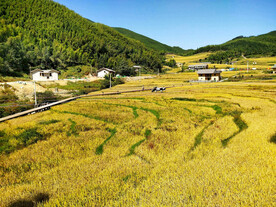 崇义上堡梯田风光
