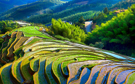 江西崇义上堡梯田景区