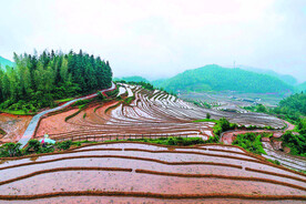 崇义上堡梯田风光