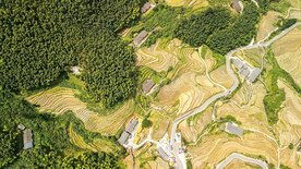 崇义上堡梯田风光