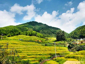 崇义上堡梯田风光