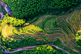 崇义上堡梯田风光