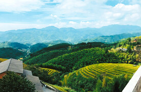 崇义上堡梯田风光