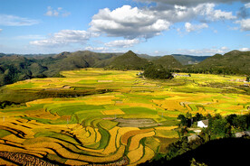 崇义上堡梯田风光