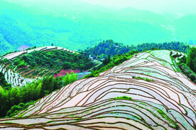 崇义上堡梯田风光