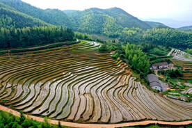 崇义上堡梯田风光