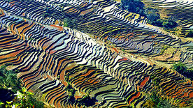 元阳哈尼梯田风光