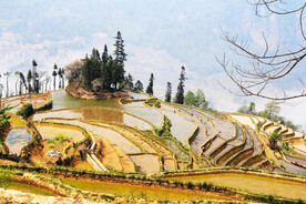 元阳哈尼梯田风光