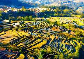 元阳哈尼梯田风光