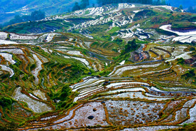 元阳哈尼梯田风光