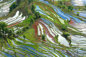 元阳哈尼梯田风光