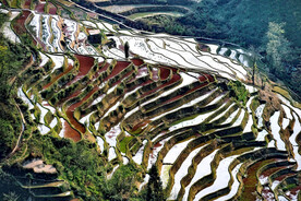 元阳哈尼梯田风光