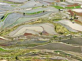 元阳哈尼梯田风光