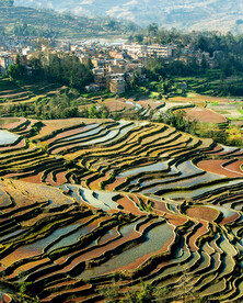元阳哈尼梯田风光