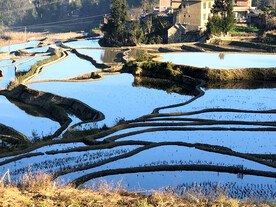 元阳哈尼梯田风光