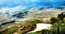 元阳哈尼梯田风光