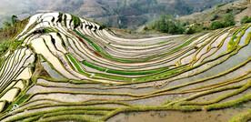 元阳哈尼梯田风光