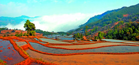 元阳哈尼梯田风光