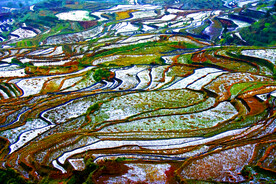 元阳哈尼梯田风光