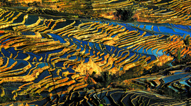 元阳哈尼梯田风光