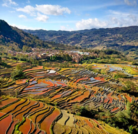 元阳哈尼梯田风光