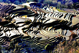 元阳哈尼梯田风光