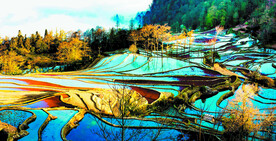 元阳哈尼梯田风光