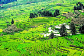 元阳哈尼梯田风光