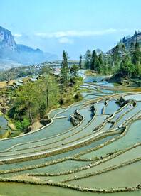 元阳哈尼梯田风光