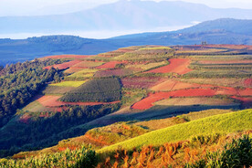 元阳哈尼梯田风光