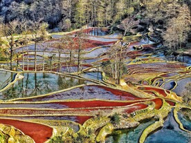 元阳哈尼梯田风光