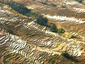 元阳哈尼梯田风光
