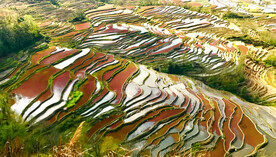 元阳哈尼梯田风光