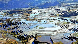 元阳哈尼梯田风光