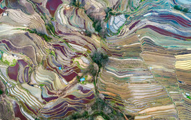 元阳哈尼梯田风光