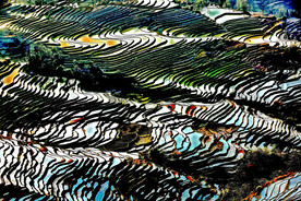 元阳哈尼梯田风光