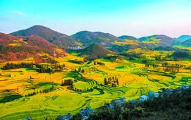 元阳哈尼梯田风光