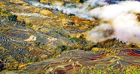 元阳哈尼梯田风光